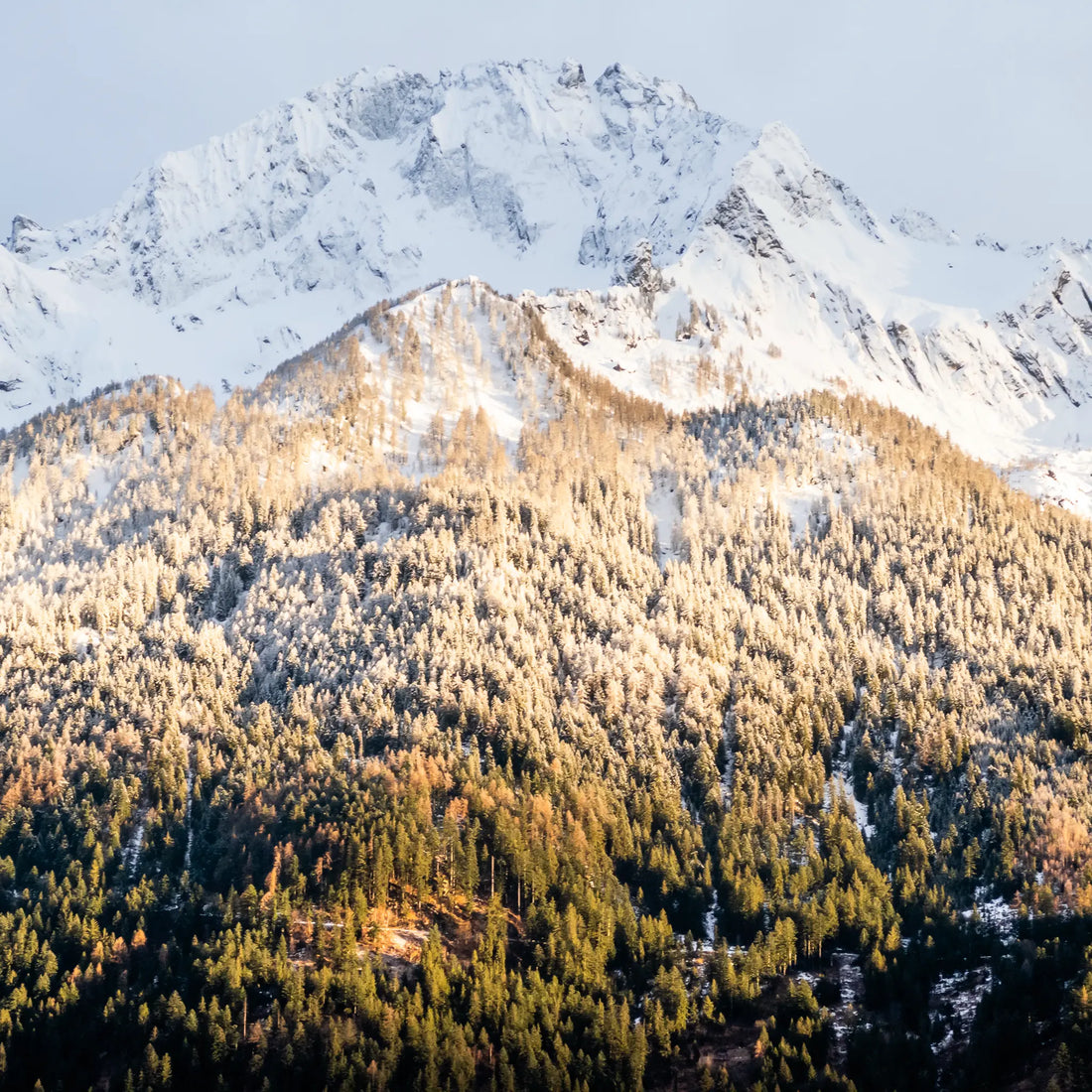 Verschneite Bergspitzen mit warmen Abendlicht
